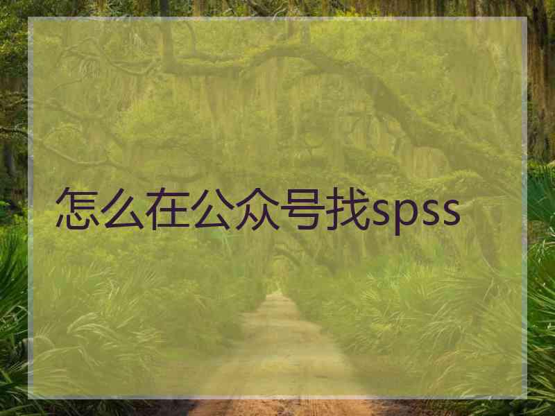 怎么在公众号找spss