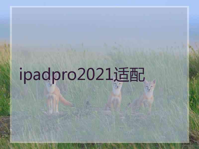 ipadpro2021适配