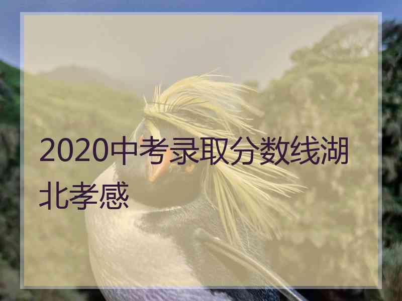 2020中考录取分数线湖北孝感