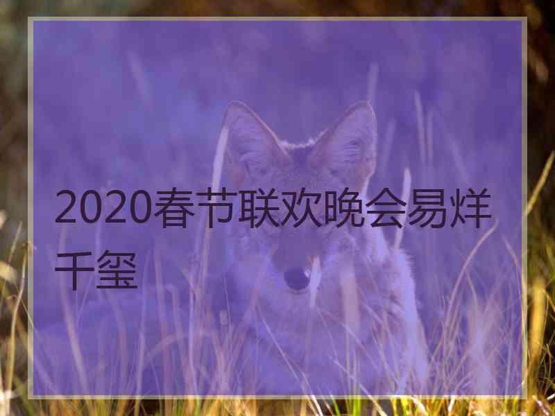 2020春节联欢晚会易烊千玺