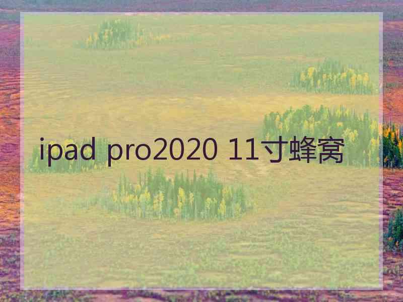 ipad pro2020 11寸蜂窝