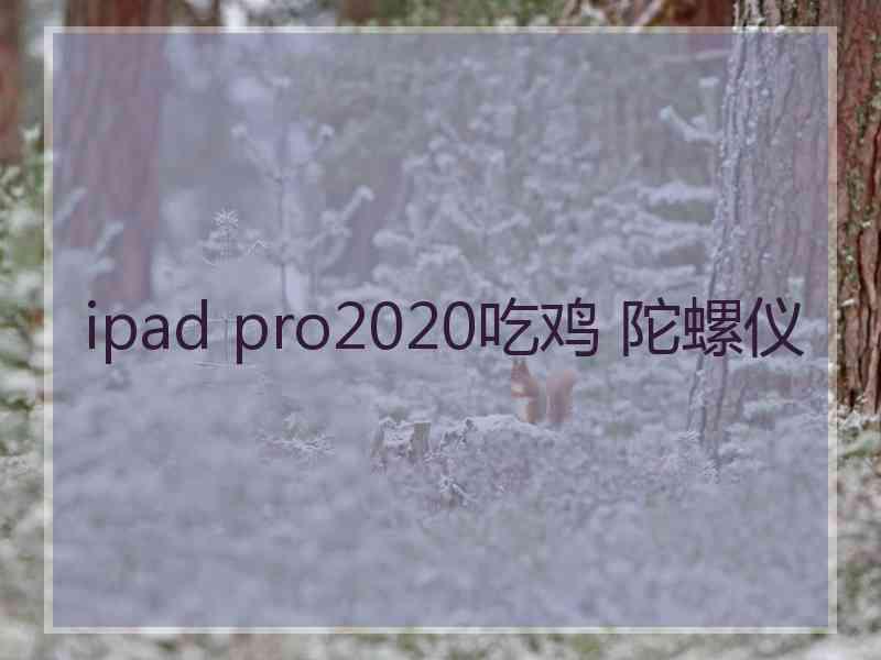 ipad pro2020吃鸡 陀螺仪