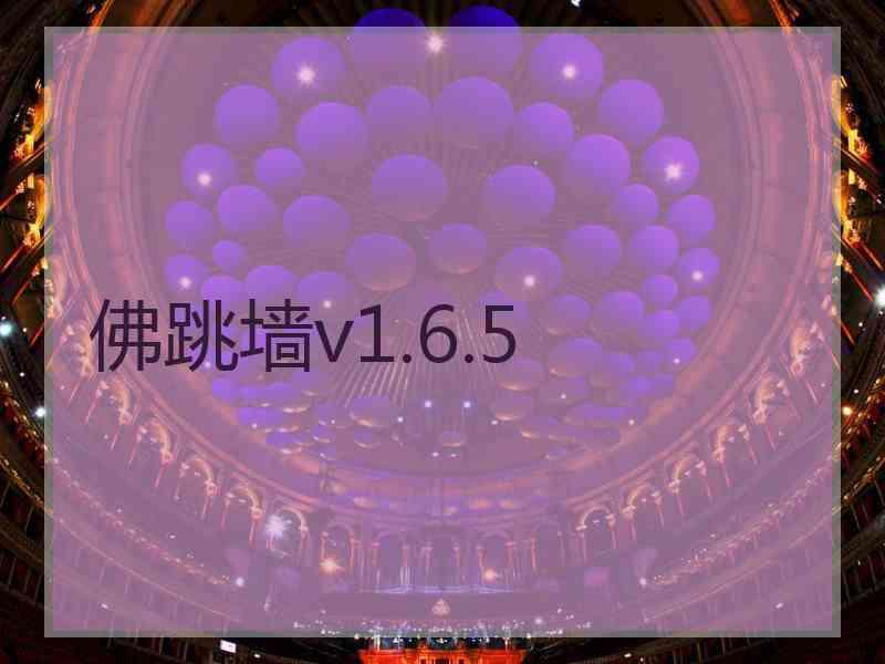 佛跳墙v1.6.5