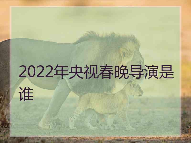 2022年央视春晚导演是谁