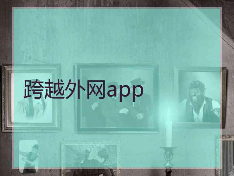 跨越外网app