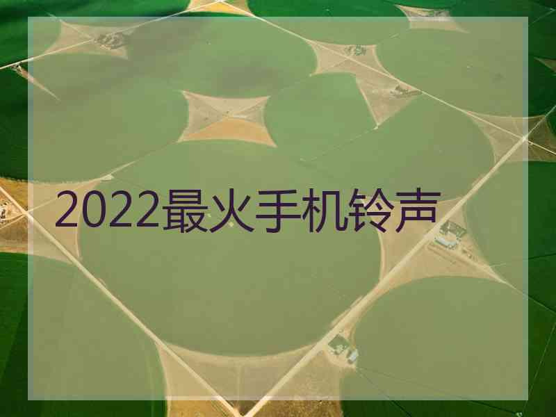 2022最火手机铃声