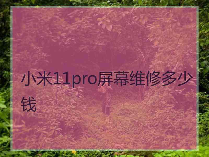 小米11pro屏幕维修多少钱