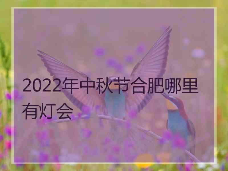 2022年中秋节合肥哪里有灯会