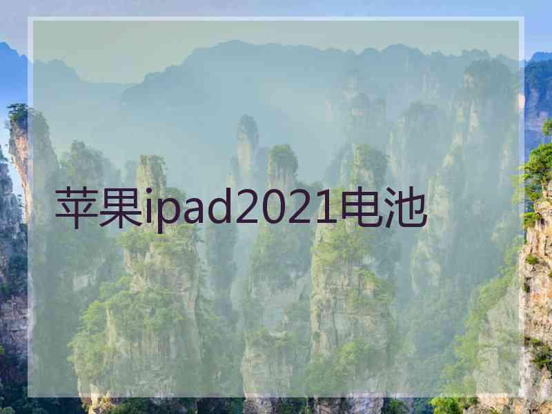 苹果ipad2021电池