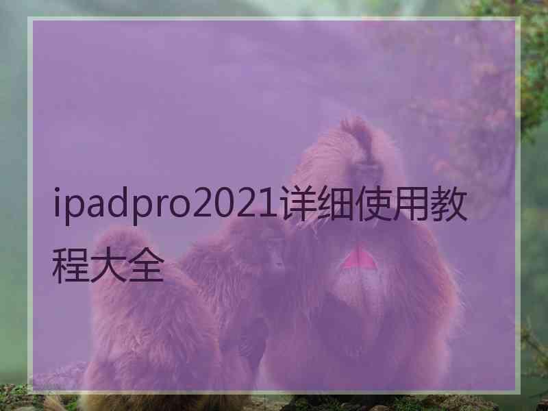 ipadpro2021详细使用教程大全