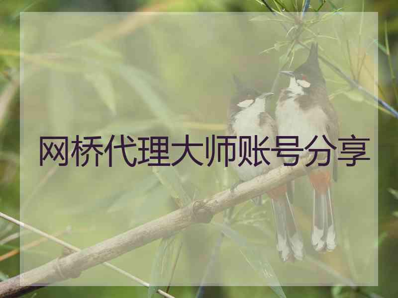 网桥代理大师账号分享