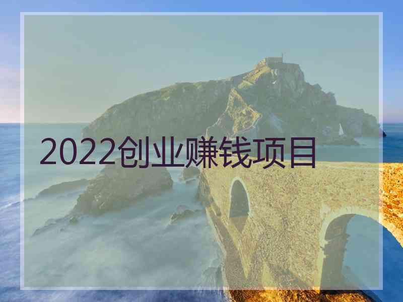 2022创业赚钱项目