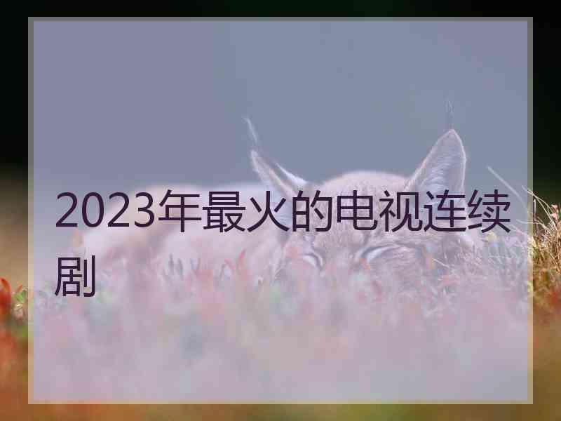 2023年最火的电视连续剧