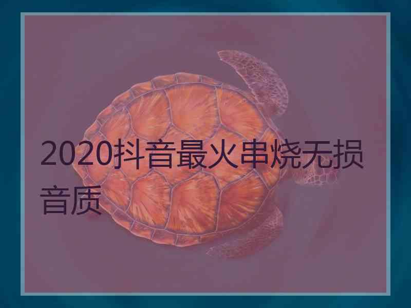 2020抖音最火串烧无损音质