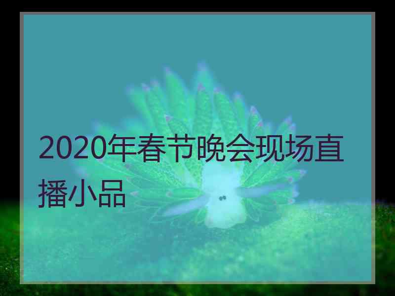 2020年春节晚会现场直播小品