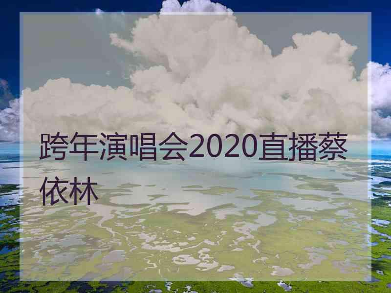 跨年演唱会2020直播蔡依林