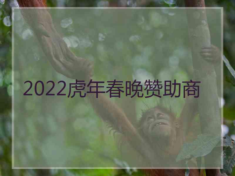 2022虎年春晚赞助商