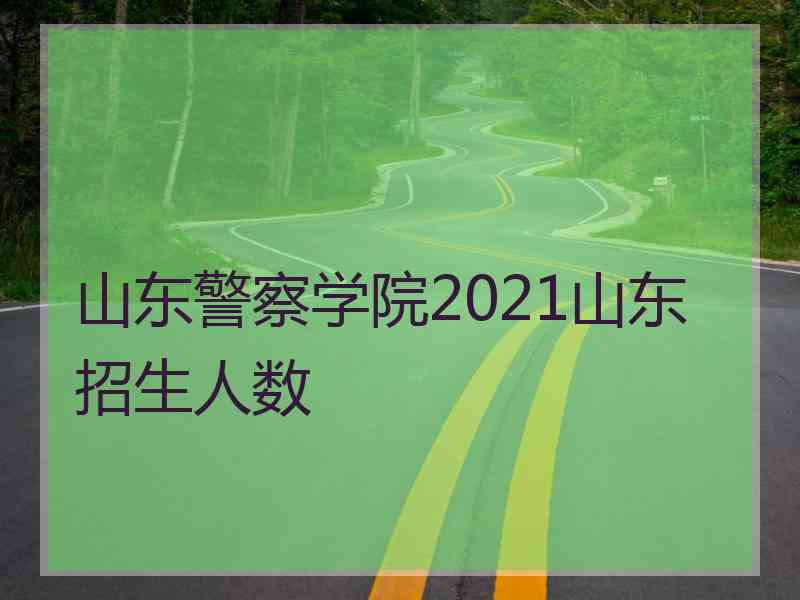 山东警察学院2021山东招生人数