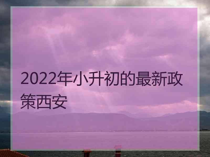 2022年小升初的最新政策西安