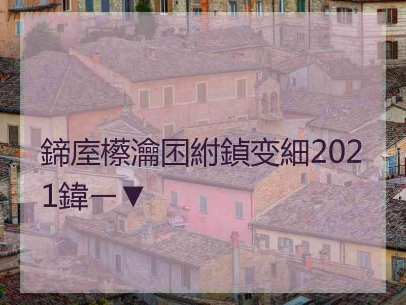 鍗庢櫒瀹囨紨鍞变細2021鍏ㄧ▼