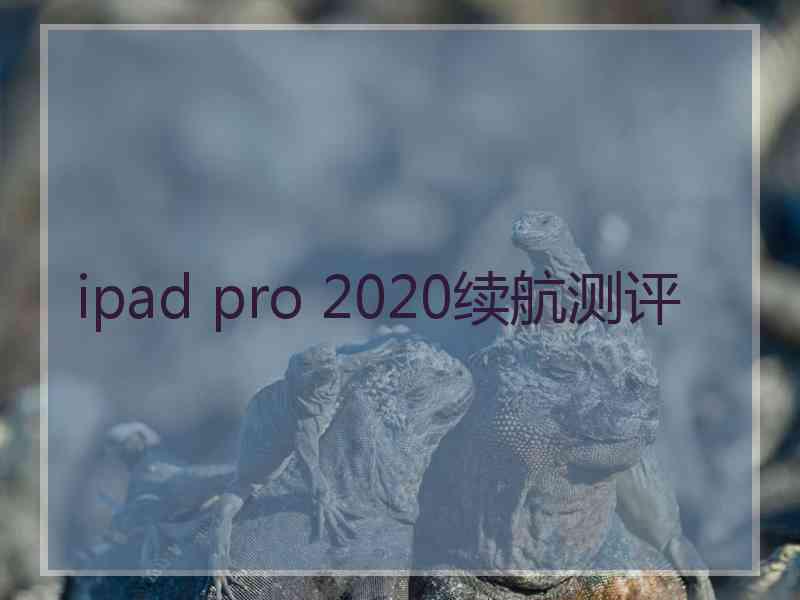 ipad pro 2020续航测评