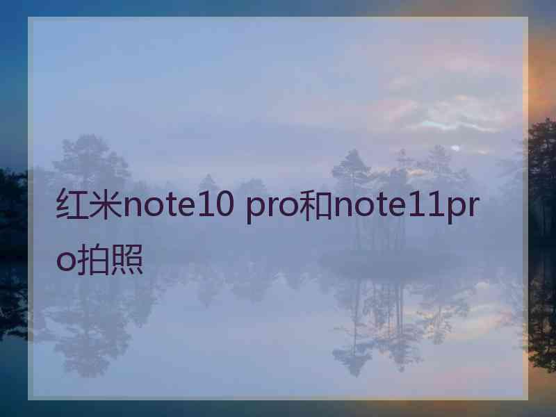 红米note10 pro和note11pro拍照