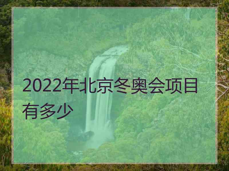 2022年北京冬奥会项目有多少