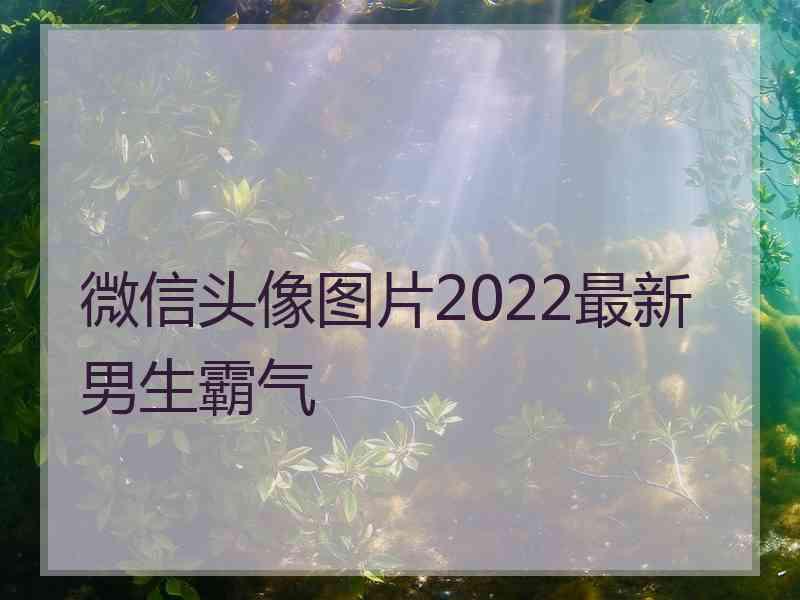 微信头像图片2022最新男生霸气