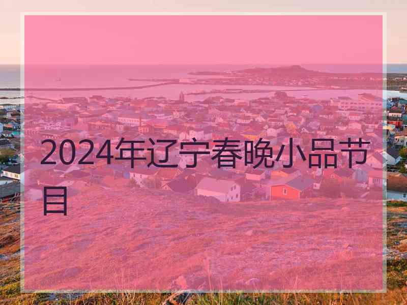 2024年辽宁春晚小品节目