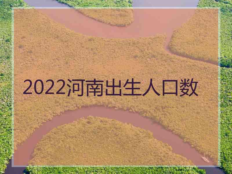 2022河南出生人口数