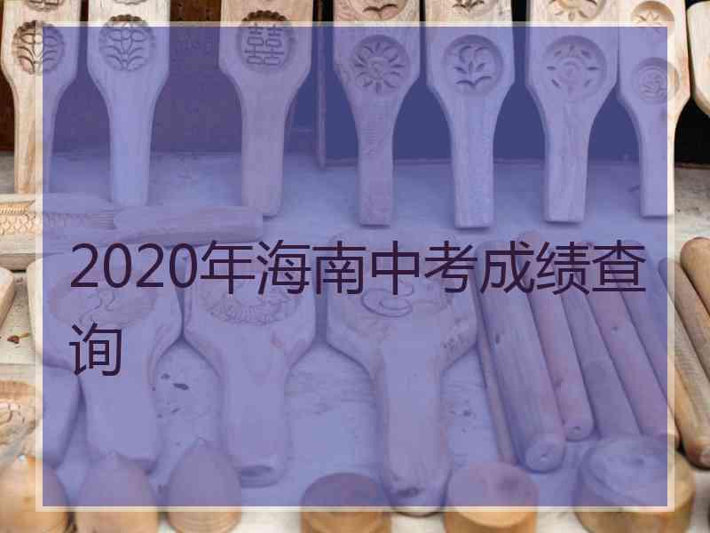 2020年海南中考成绩查询