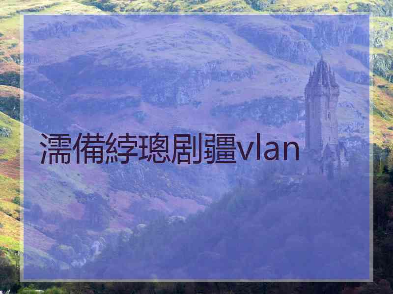 濡備綍璁剧疆vlan