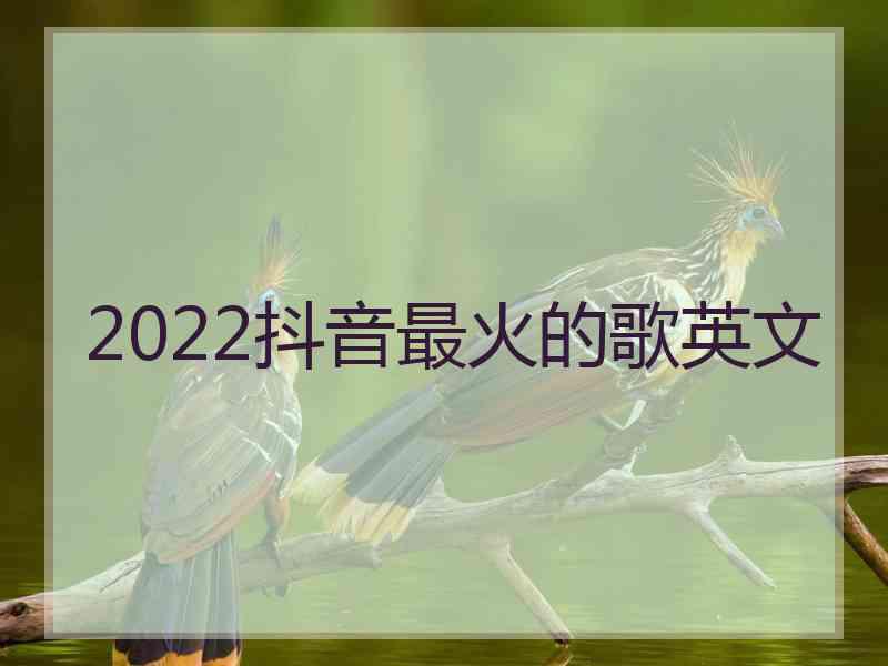 2022抖音最火的歌英文