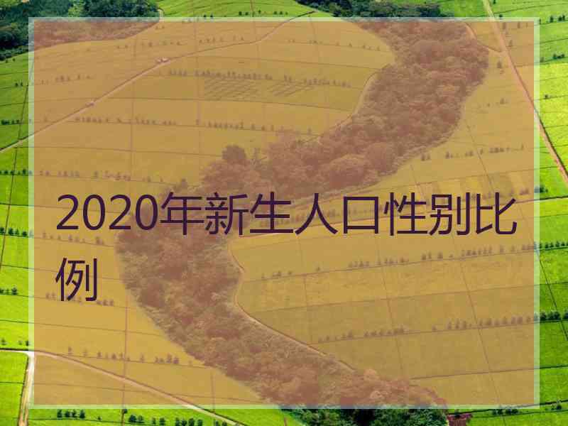 2020年新生人口性别比例