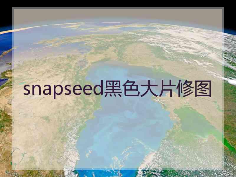 snapseed黑色大片修图