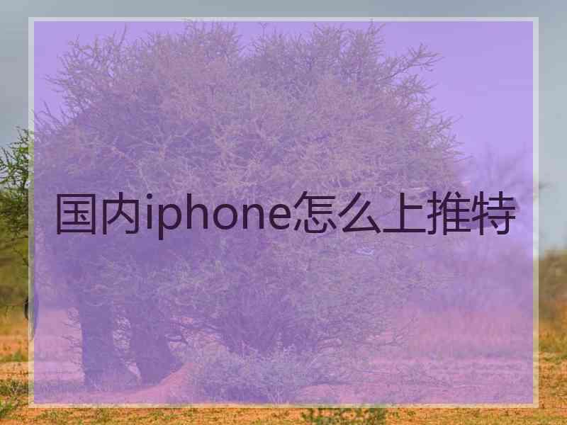 国内iphone怎么上推特