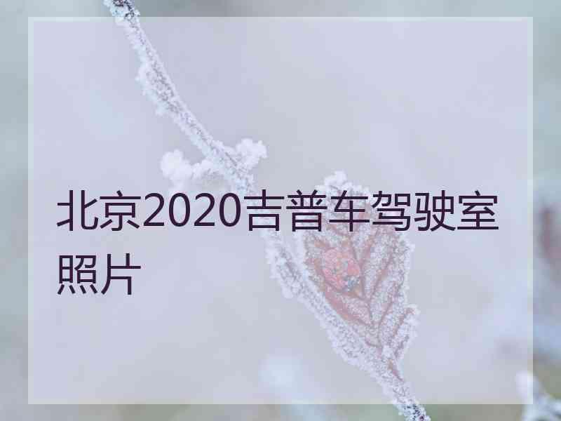 北京2020吉普车驾驶室照片