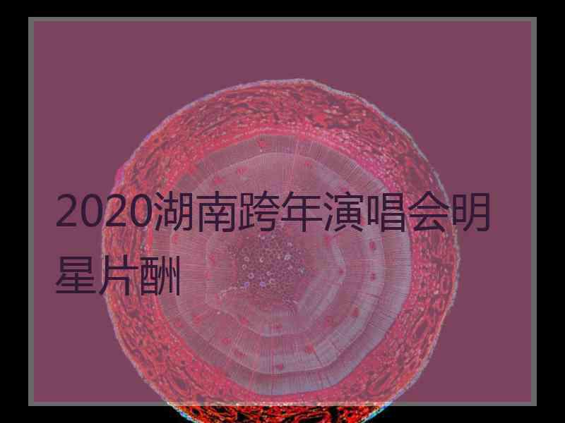 2020湖南跨年演唱会明星片酬