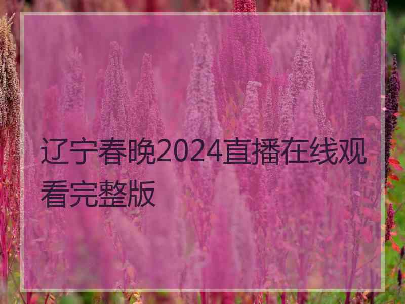 辽宁春晚2024直播在线观看完整版