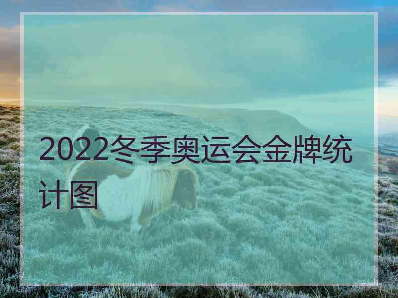 2022冬季奥运会金牌统计图