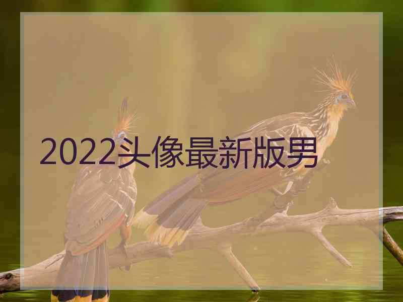 2022头像最新版男