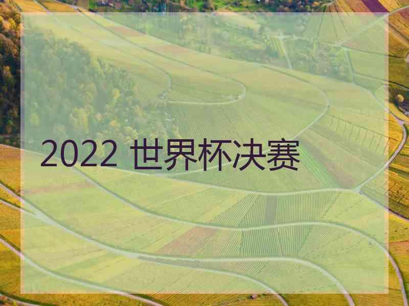 2022 世界杯决赛