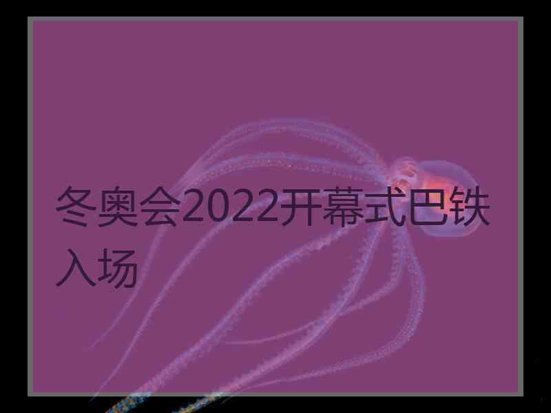 冬奥会2022开幕式巴铁入场