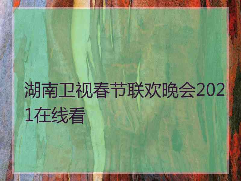 湖南卫视春节联欢晚会2021在线看