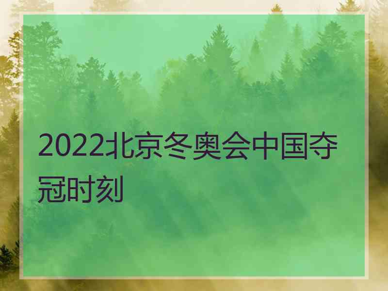 2022北京冬奥会中国夺冠时刻