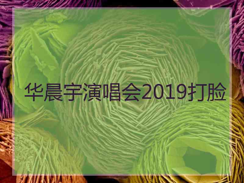 华晨宇演唱会2019打脸