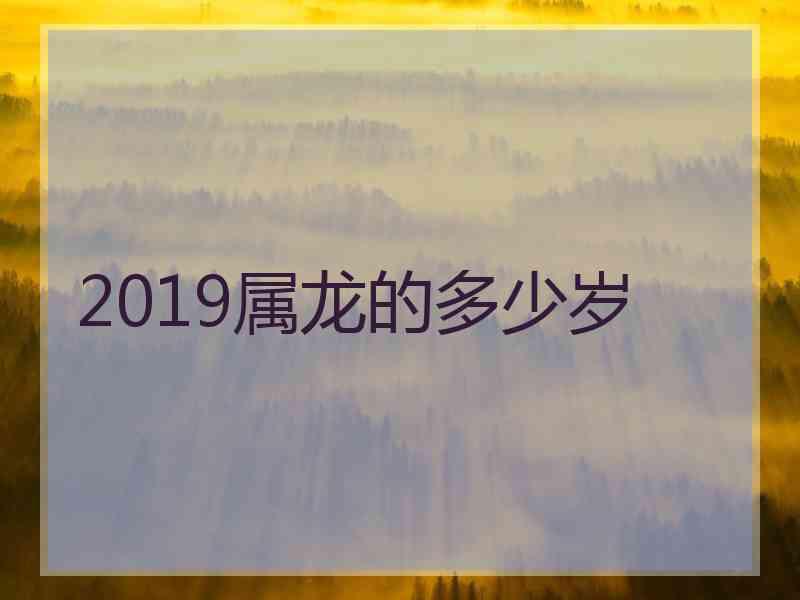 2019属龙的多少岁