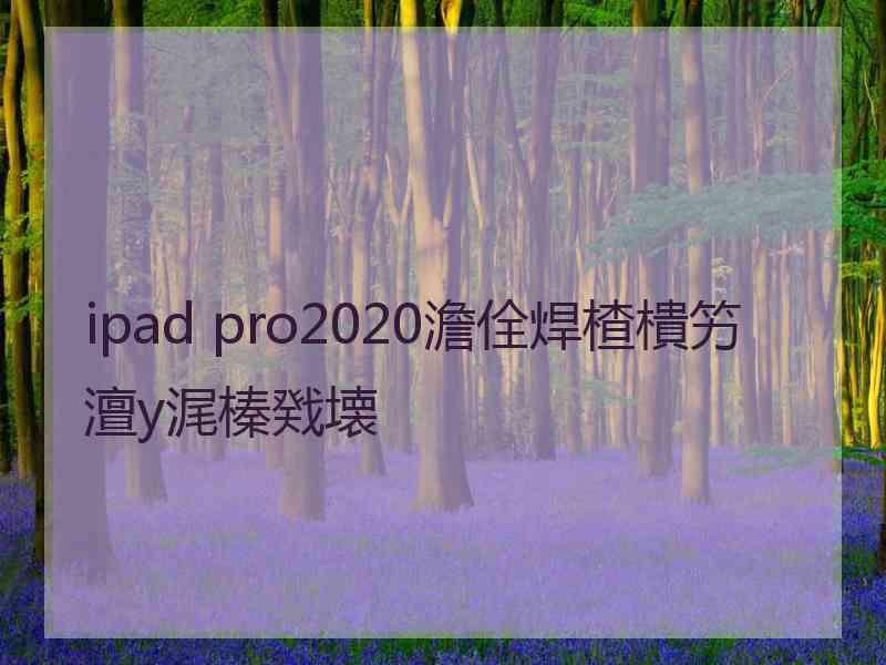 ipad pro2020澹佺焊楂樻竻澶у浘榛戣壊