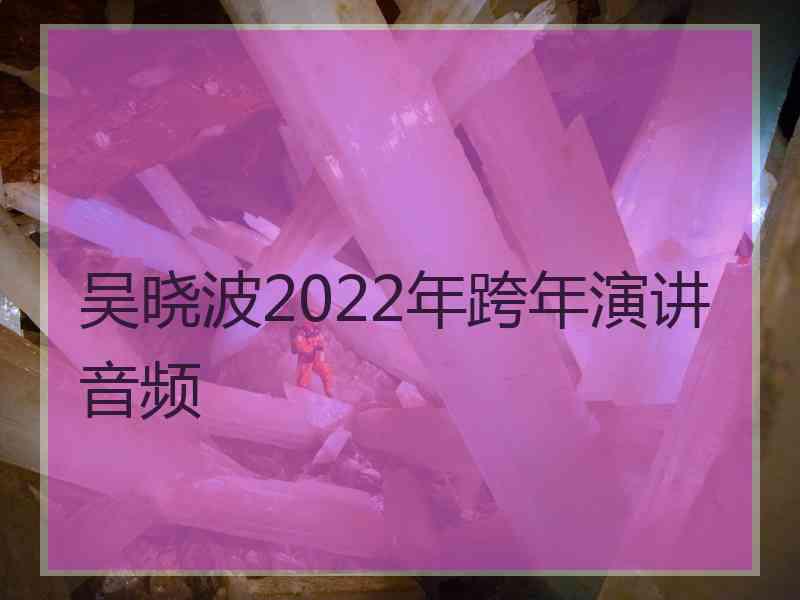 吴晓波2022年跨年演讲音频