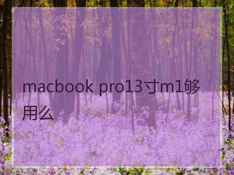 macbook pro13寸m1够用么